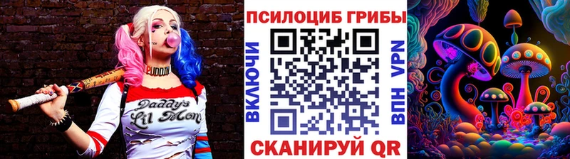 дарнет шоп  Бахчисарай  KRAKEN зеркало  Галлюциногенные грибы прущие грибы 