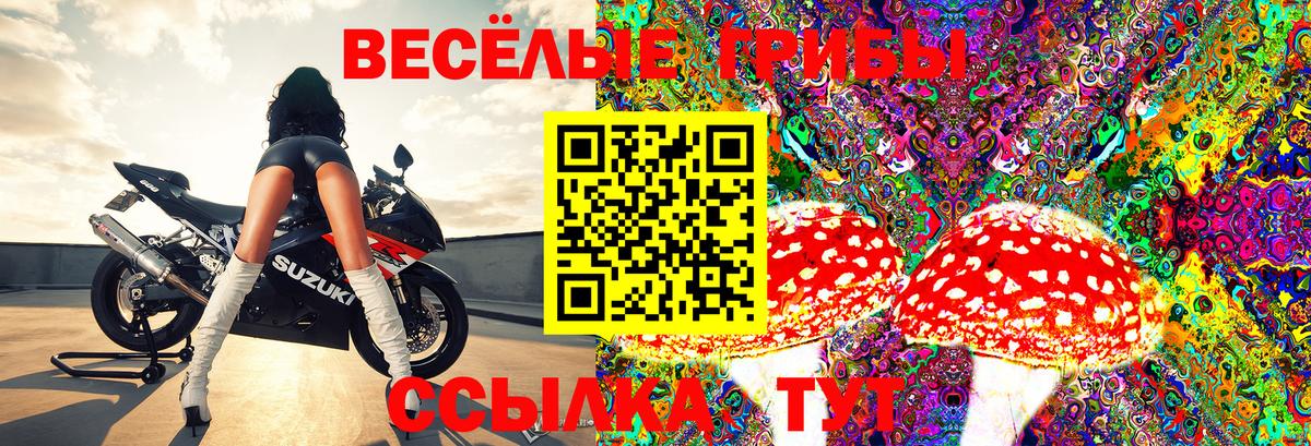 Псилоцибиновые грибы GOLDEN TEACHER Бахчисарай